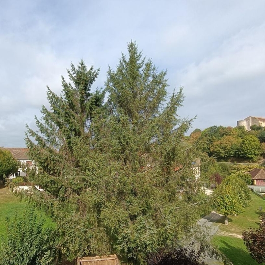  VALOIS IMMOBILIER : Appartement | CHALUS (87230) | 79 m2 | 49 280 € 