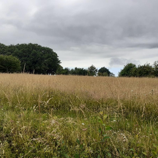  VALOIS IMMOBILIER : Terrain | SAINT-PRIEST-SOUS-AIXE (87700) | 6 611 m2 | 5 000 &euro; 