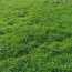  VALOIS IMMOBILIER : Maison / Villa | AIXE-SUR-VIENNE (87700) | 115 m2 | 132 530 € 