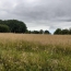  VALOIS IMMOBILIER : Terrain | SAINT-PRIEST-SOUS-AIXE (87700) | 6 611 m2 | 5 000 &euro; 