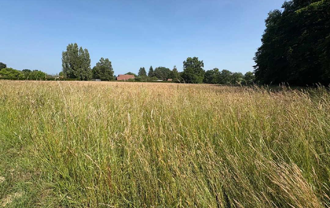 VALOIS IMMOBILIER : Terrain | JOURGNAC (87800) | 28 861 m2 | 20 700 € 