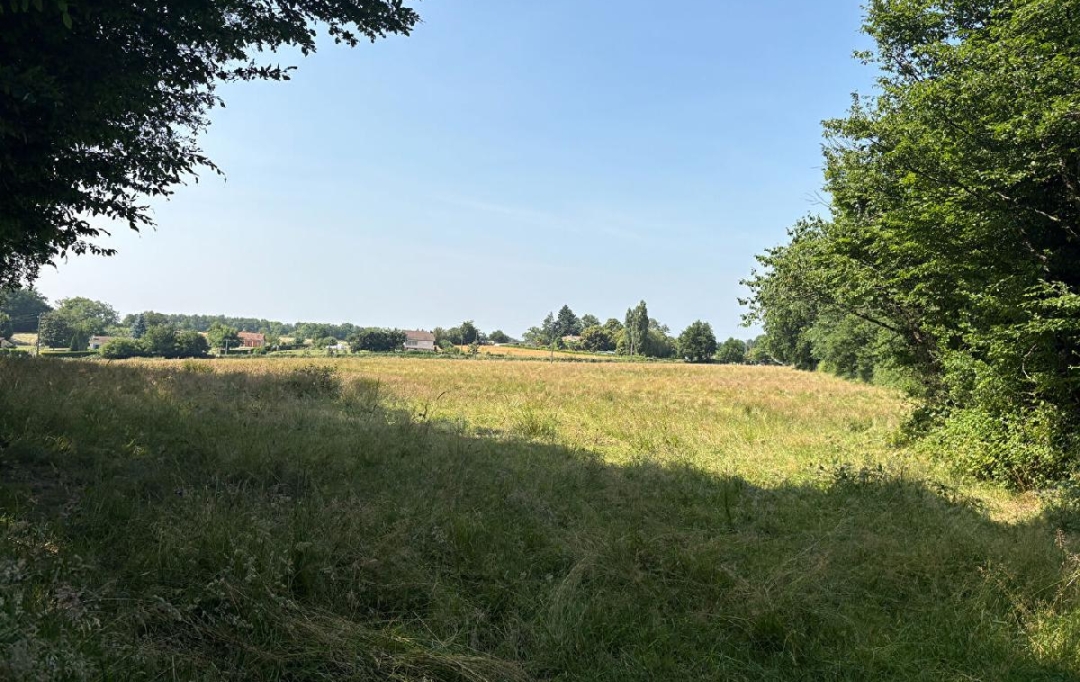 VALOIS IMMOBILIER : Terrain | JOURGNAC (87800) | 28 861 m2 | 20 700 € 