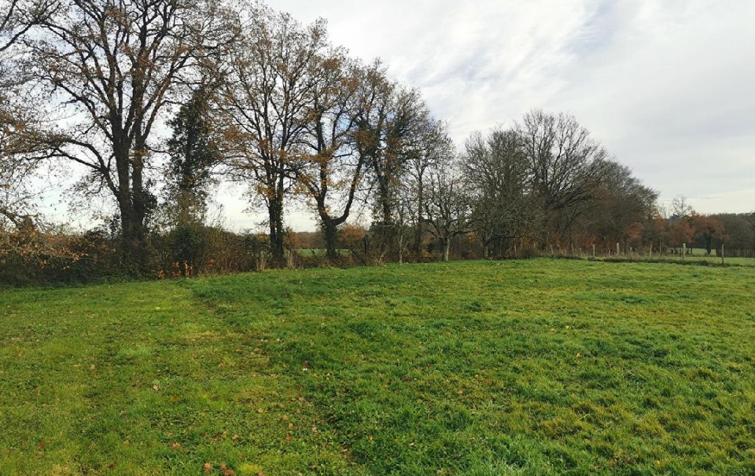 VALOIS IMMOBILIER : House | COGNAC-LA-FORET (87310) | 77 m2 | 149 450 &euro; 