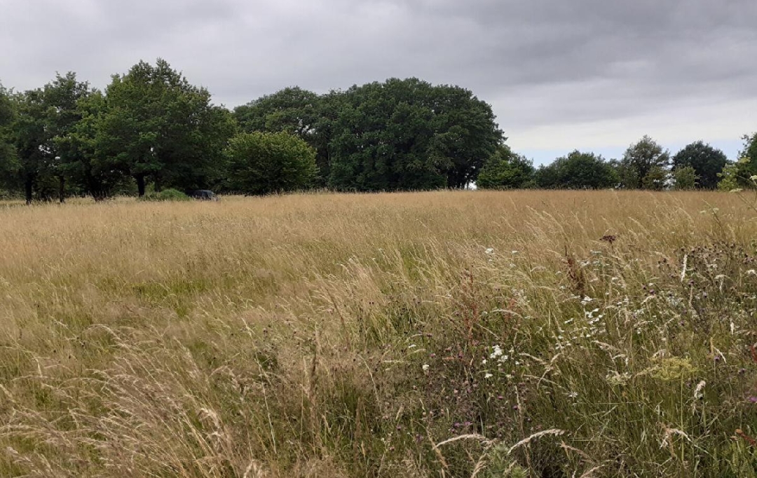 VALOIS IMMOBILIER : Terrain | SAINT-PRIEST-SOUS-AIXE (87700) | 6 611 m2 | 5 000 &euro; 