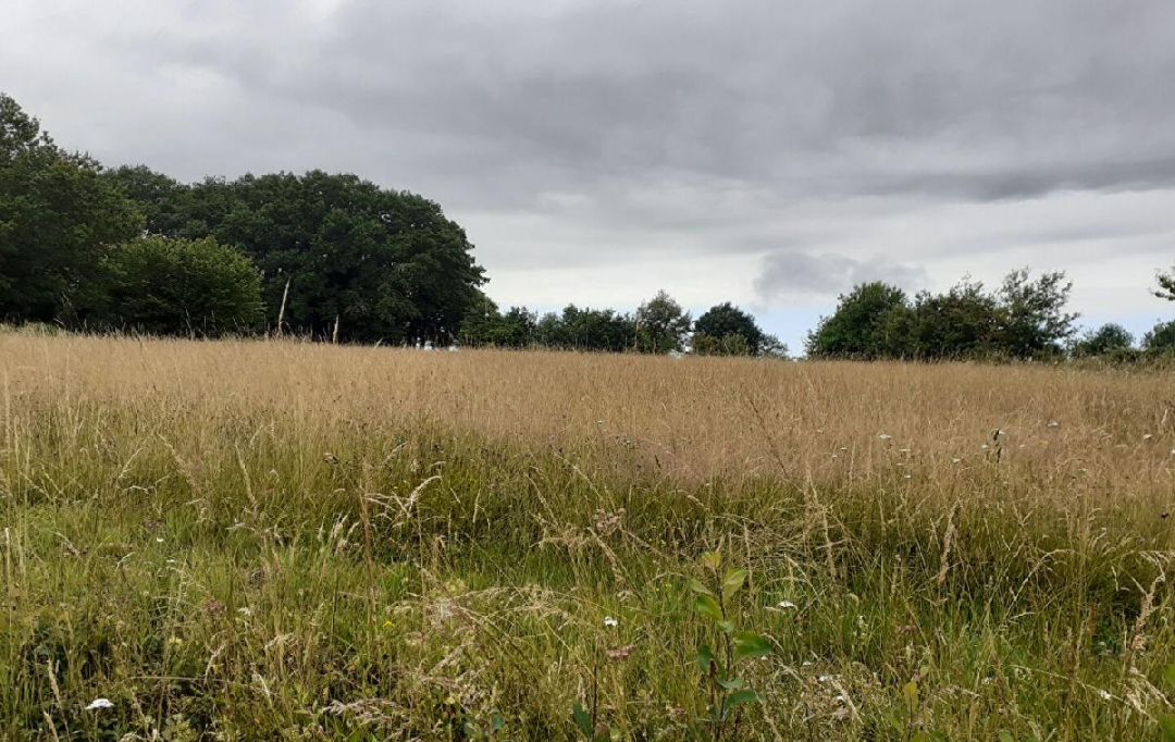 VALOIS IMMOBILIER : Terrain | SAINT-PRIEST-SOUS-AIXE (87700) | 6 611 m2 | 5 000 &euro; 