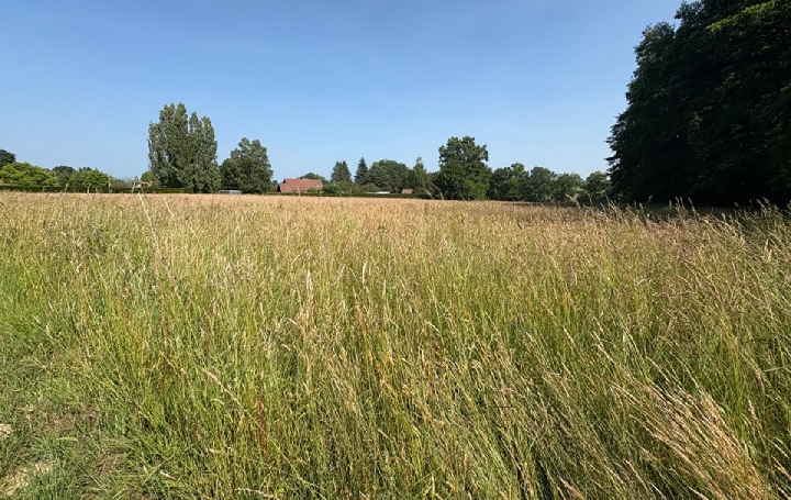 Terrain JOURGNAC 28 861 m2 20 700 € Terrain JOURGNAC 28 861 m2 20 700 €