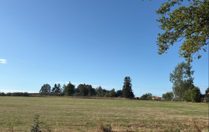Terrain   FLAVIGNAC  2 000 m2 28 625 € 