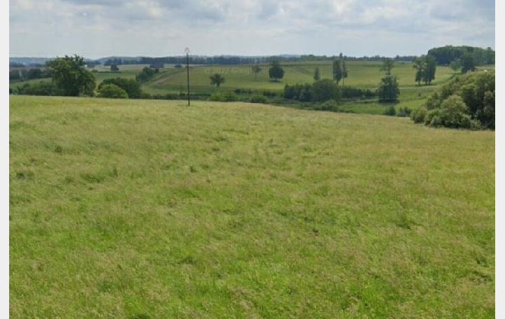 Terrain   FLAVIGNAC  6 392 m2 28 500 € 