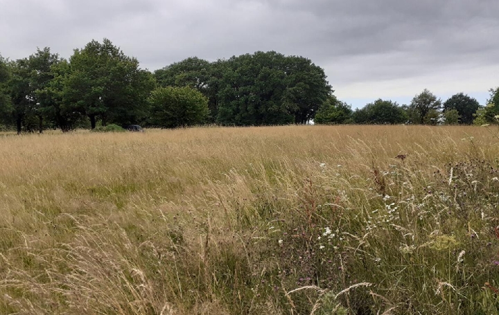 Terrain   SAINT-PRIEST-SOUS-AIXE  6 611 m2 5 000 € 